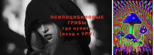 гидра Белоозёрский