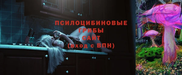 гидра Белоозёрский
