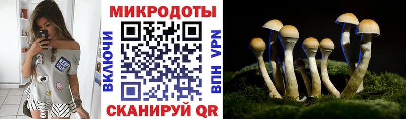 Галлюциногенные грибы прущие грибы цена наркотик Белинский
